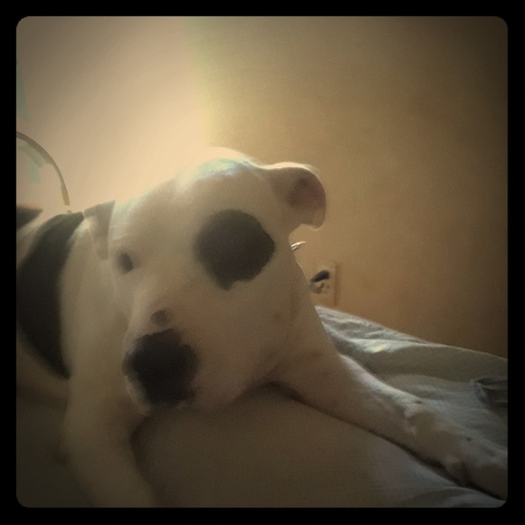 Meet your Posher, Bernd - Picture 1 of 1